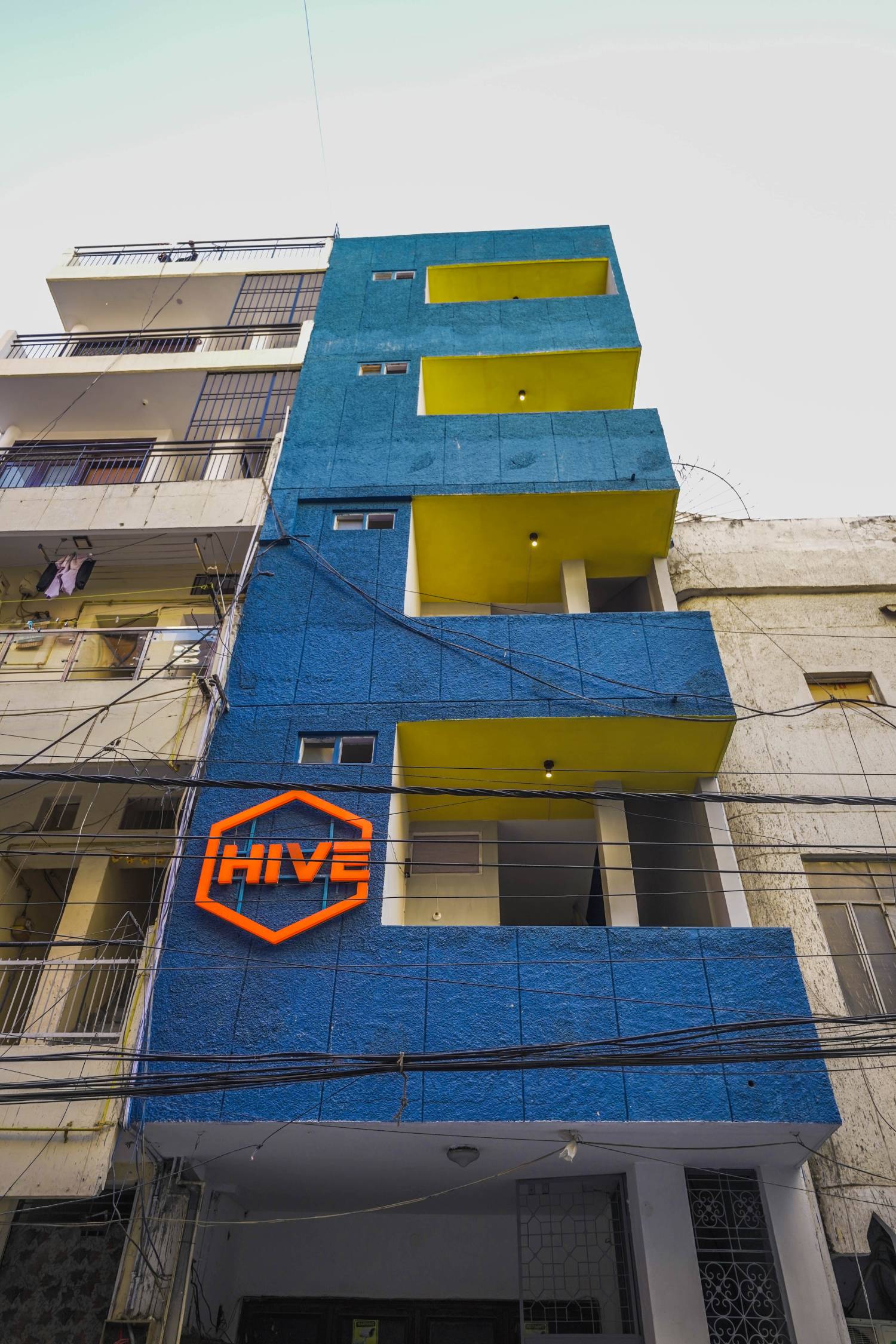 the hive hostel